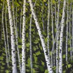 Silver Birch trees