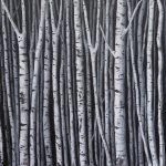 Black & White birches